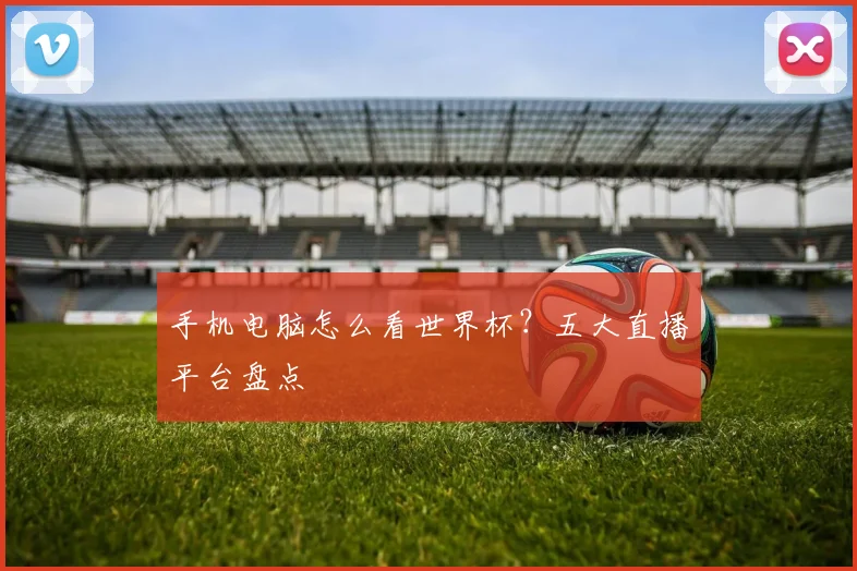 手机电脑怎么看世界杯？五大直播平台盘点