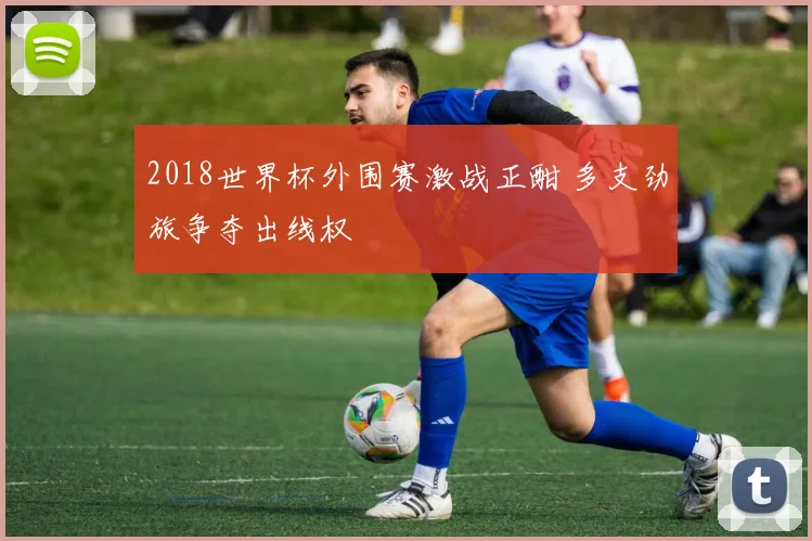 2018世界杯外围赛激战正酣 多支劲旅争夺出线权