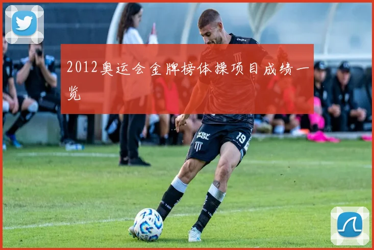2012奥运会金牌榜体操项目成绩一览