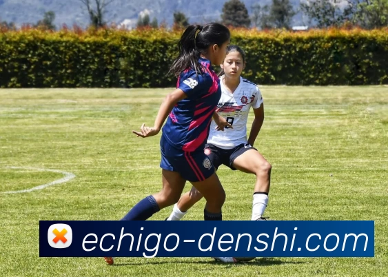 爱游戏体育官网登录平台生态图